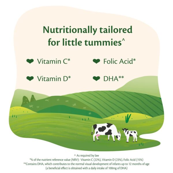 HiPP Organic 2 Follow on Baby Milk Powder Formula From 6 -12 Months 800g